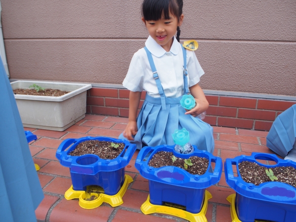 何こ出てきているかな？