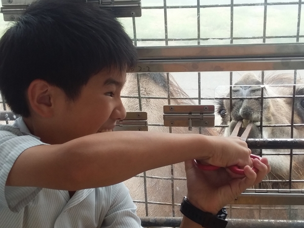 えさの奪い合い？！