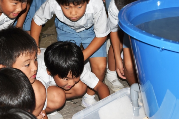 水の循環を確認中！