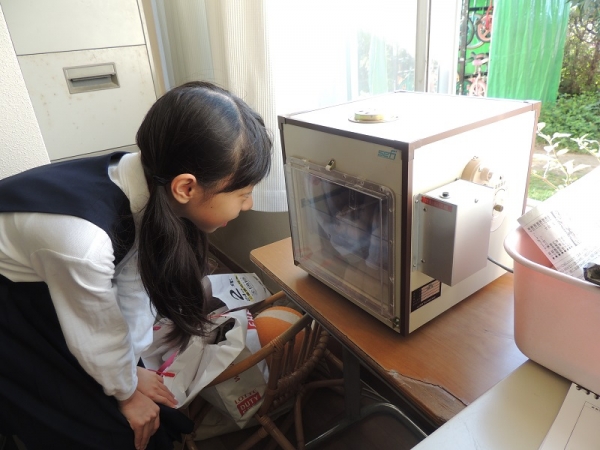 「まだかな？まだかな？」休み時間になると５年生が職員室にやってきて観察。