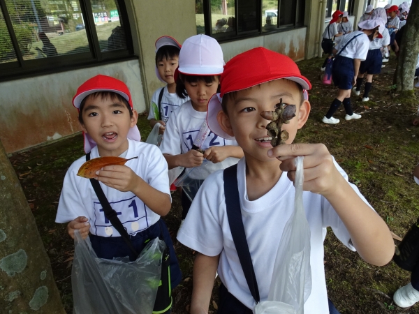 どんぐりがくっついている枝を発見！すごいね！