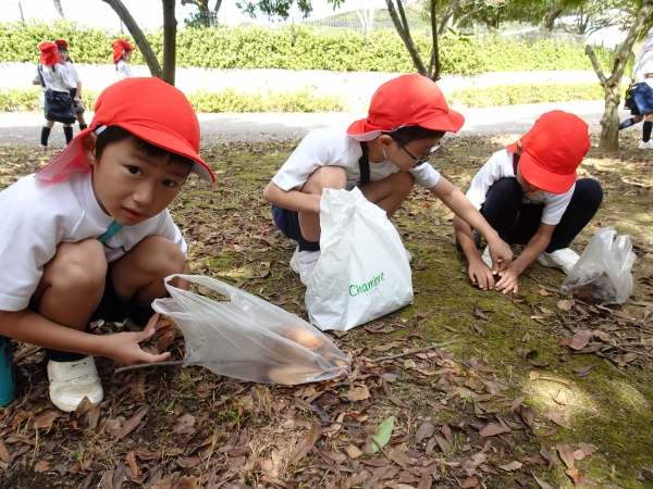 小さなどんぐりがたくさん！宝の山だね！
