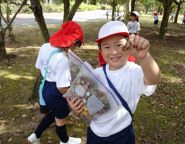 とげとげしているこれは･･･くりのからだね