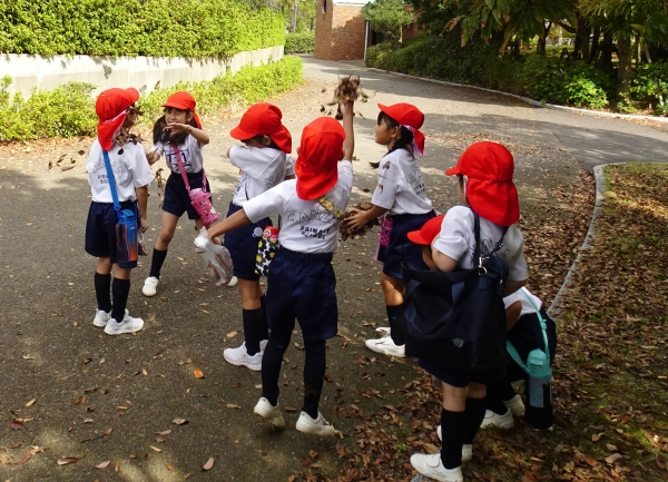 落ち葉を空にむかって投げると、頭の上に舞って楽しい！