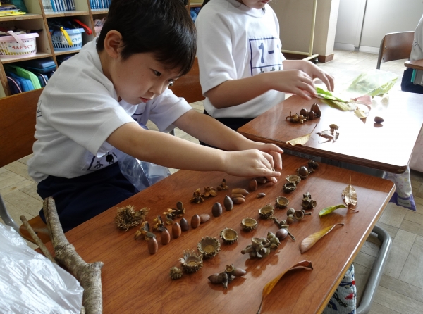 並べてみると、色々な秋のたからがあって面白いな