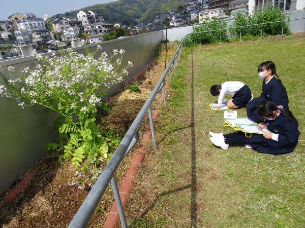 見つけた春をしっかりスケッチ！