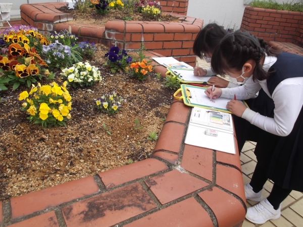 よく見てスケッチできました♪