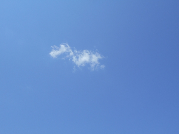 たまには空を…