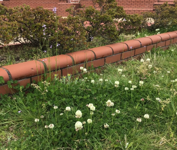 南山っ子が学校に来るのを待ってるよ！