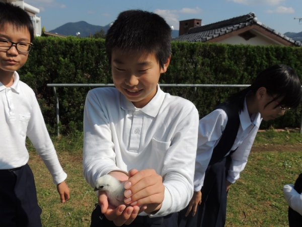 そーっと、そーっと、やさしく手のひらに包み込んで！
