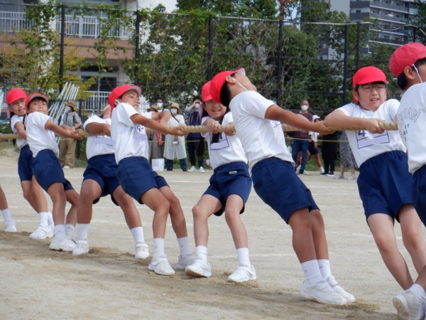 ４年生　つなひき