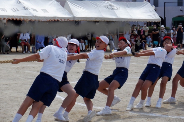 5年生　つなひき