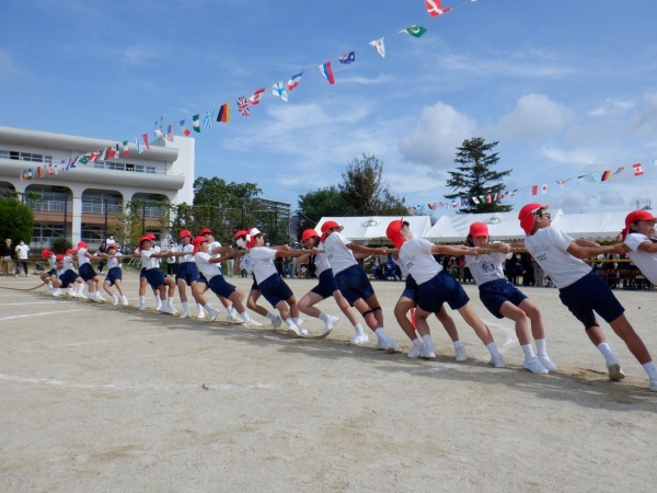 ６年生　つなひき