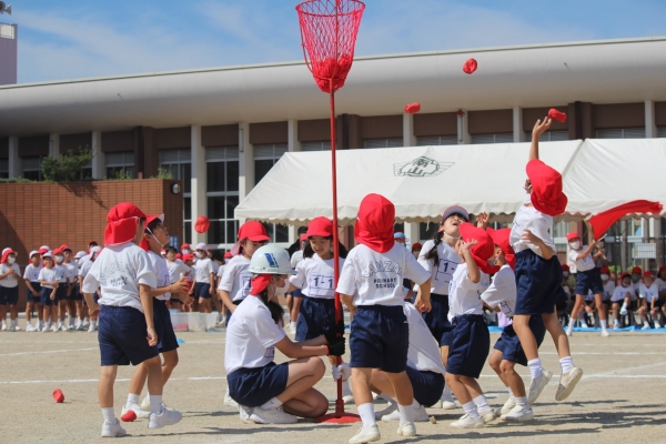 １年生　青空に向かって（玉入れ）