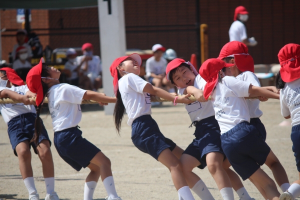３年生　つなひき
