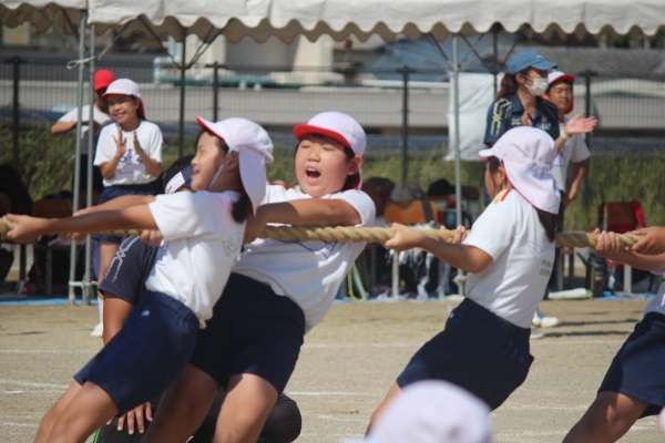 ４年生　つなひき