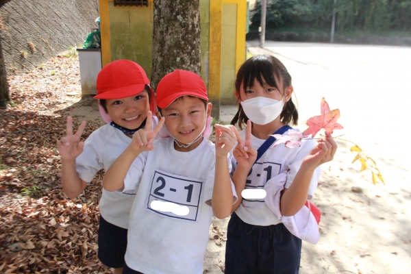 きれいな落ち葉や虫がたくさん！