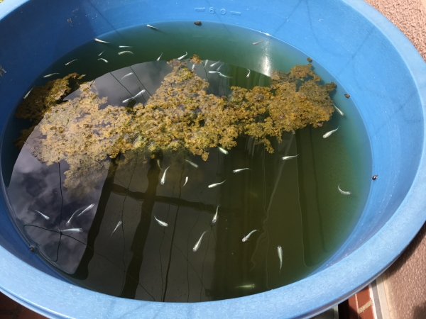 クイズ：ここはどこでしょう？