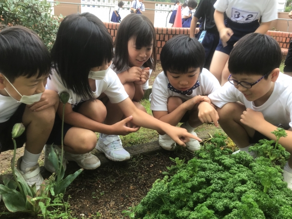 おお、何かいるぞ。