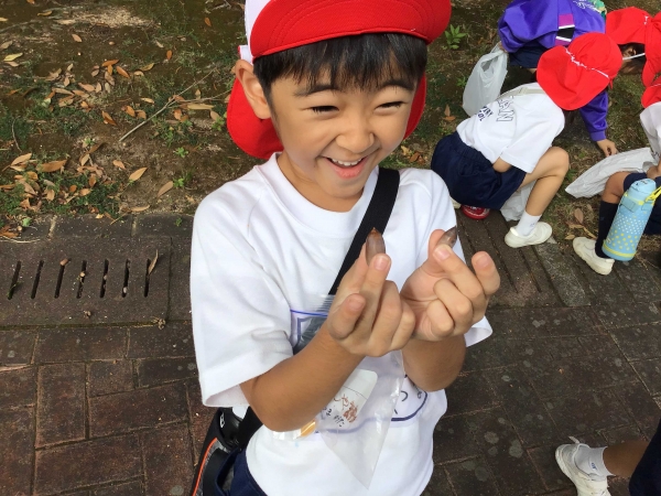 やった！ドングリゲット！