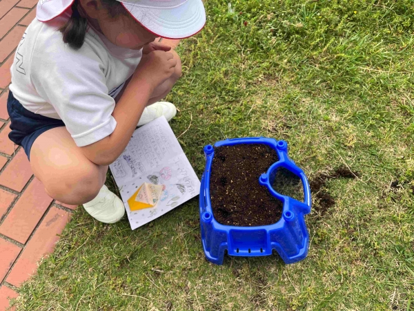 ２年生にもらった種を１粒ずつ穴へ