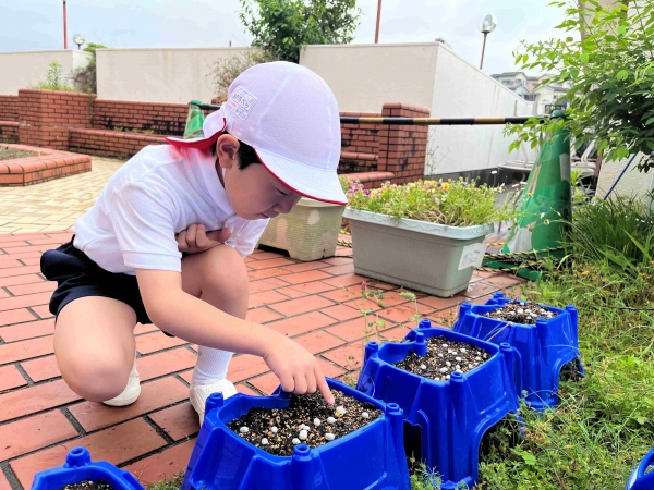 僕のは何個出ているかな？