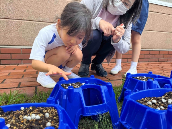 芽の形も違うみたい