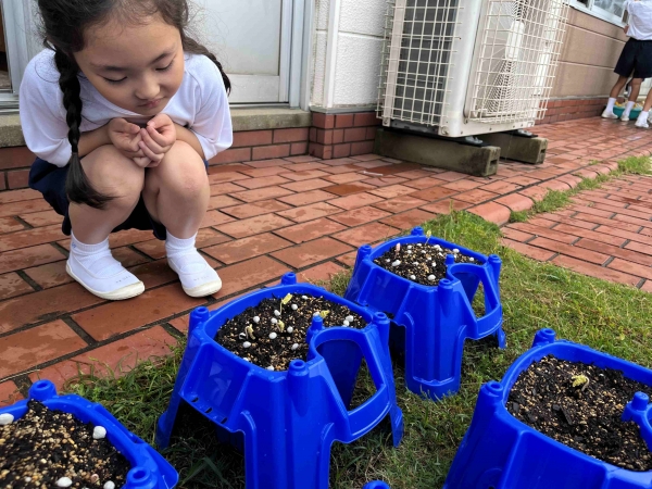小さくてかわいいね