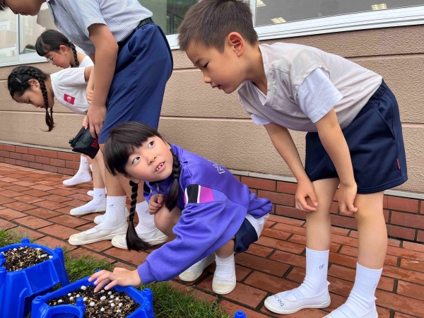 友達と楽しそうに見せ合いっこ