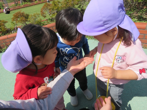 ほぉ～これがうわさのダンゴムシですかぁ。