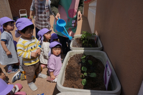 お水もたくさん飲んでね！