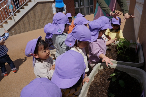 魔法をかけて「おおきくなぁれ～」