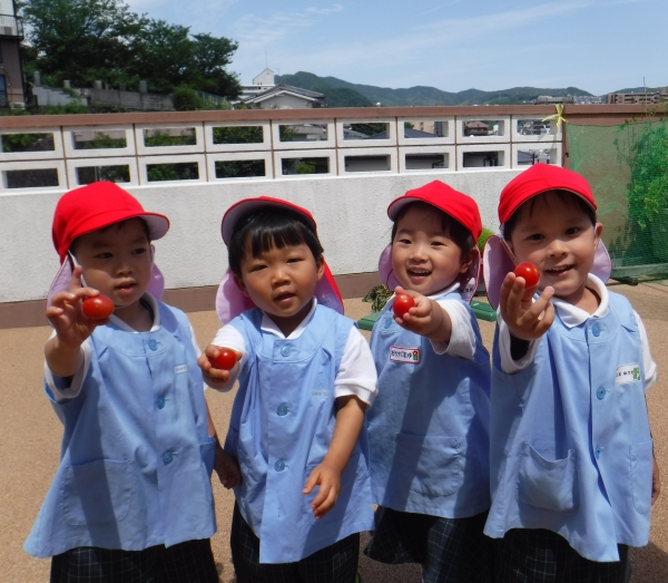 収穫したよー☆