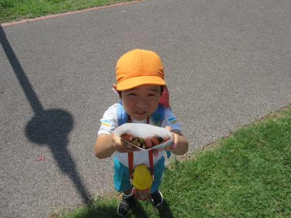 どんぐりもいっぱい拾ったよ！