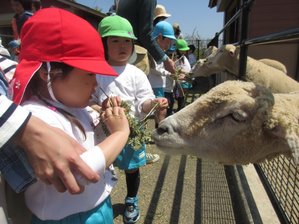 動物さんに餌もあげたよ～