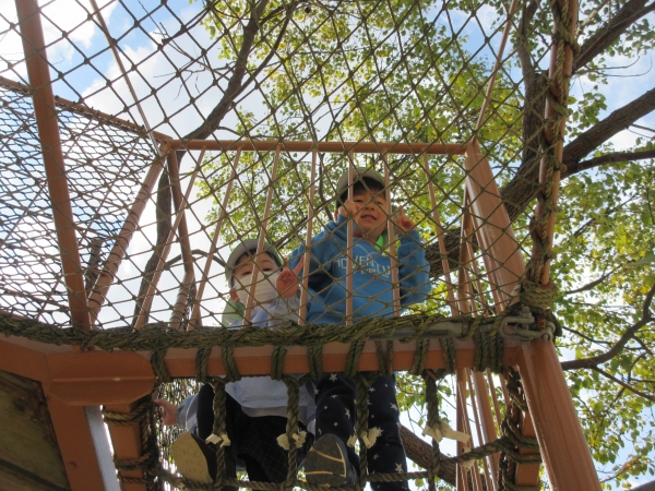 ツリーハウスも大人気です♪