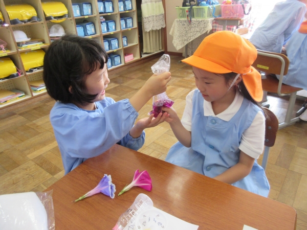 アサガオの色きれいだね！