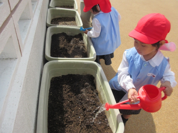 水やりの係はお当番さん