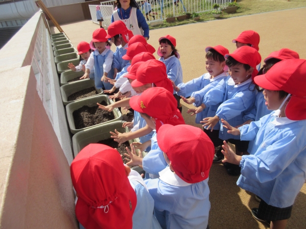 おおきくなぁれ～と呪文をかけて☆彡